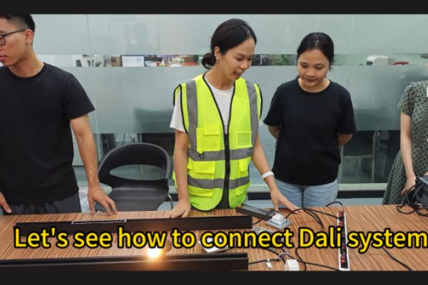 Dali & 0-10V Control System Connect